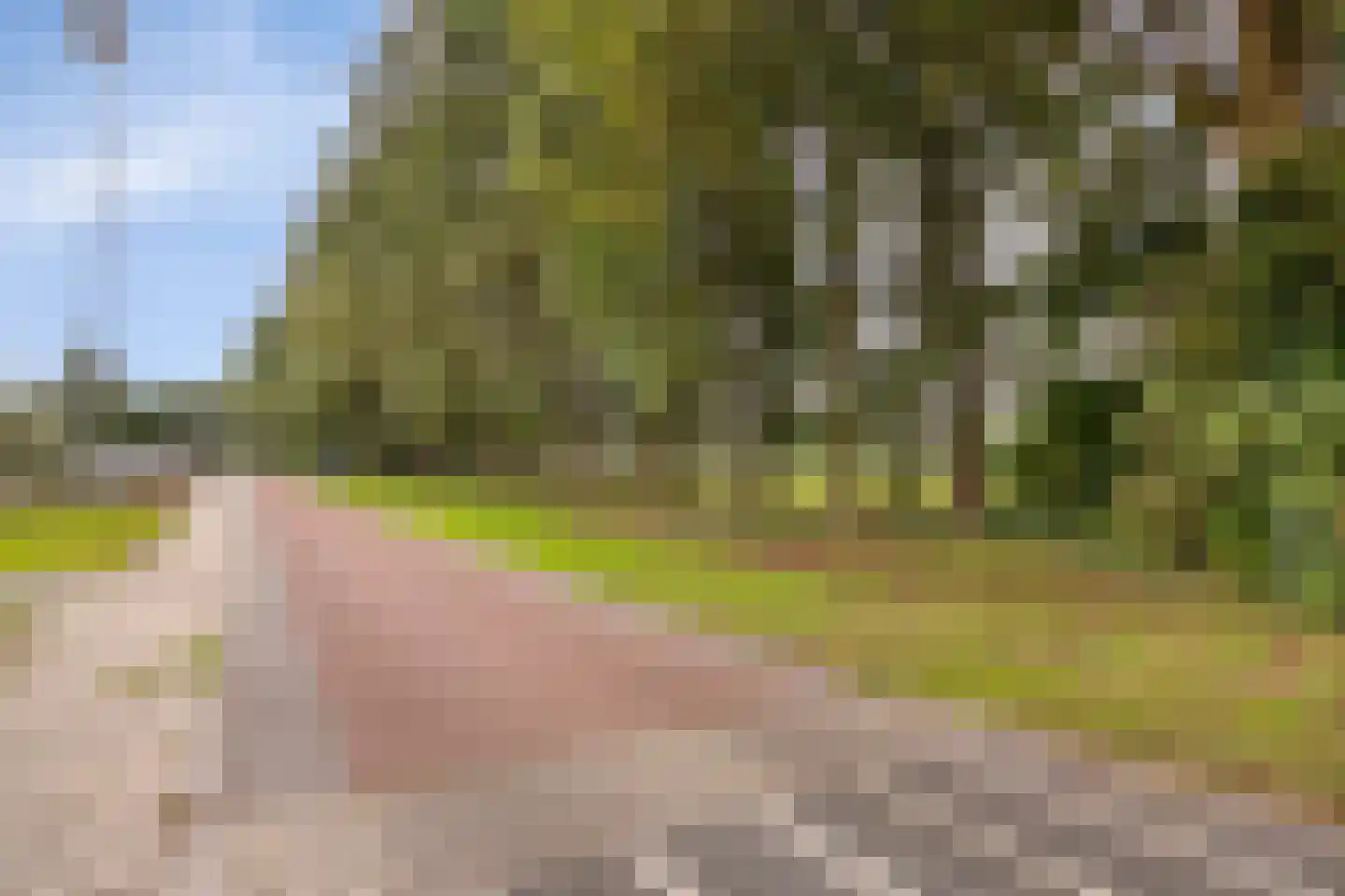 Wijkstraat 13 Bruchterveld thumbnail 40