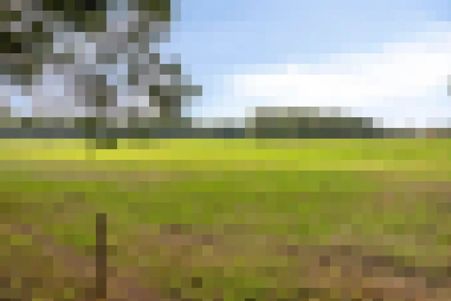 Wijkstraat 13 Bruchterveld thumbnail 41