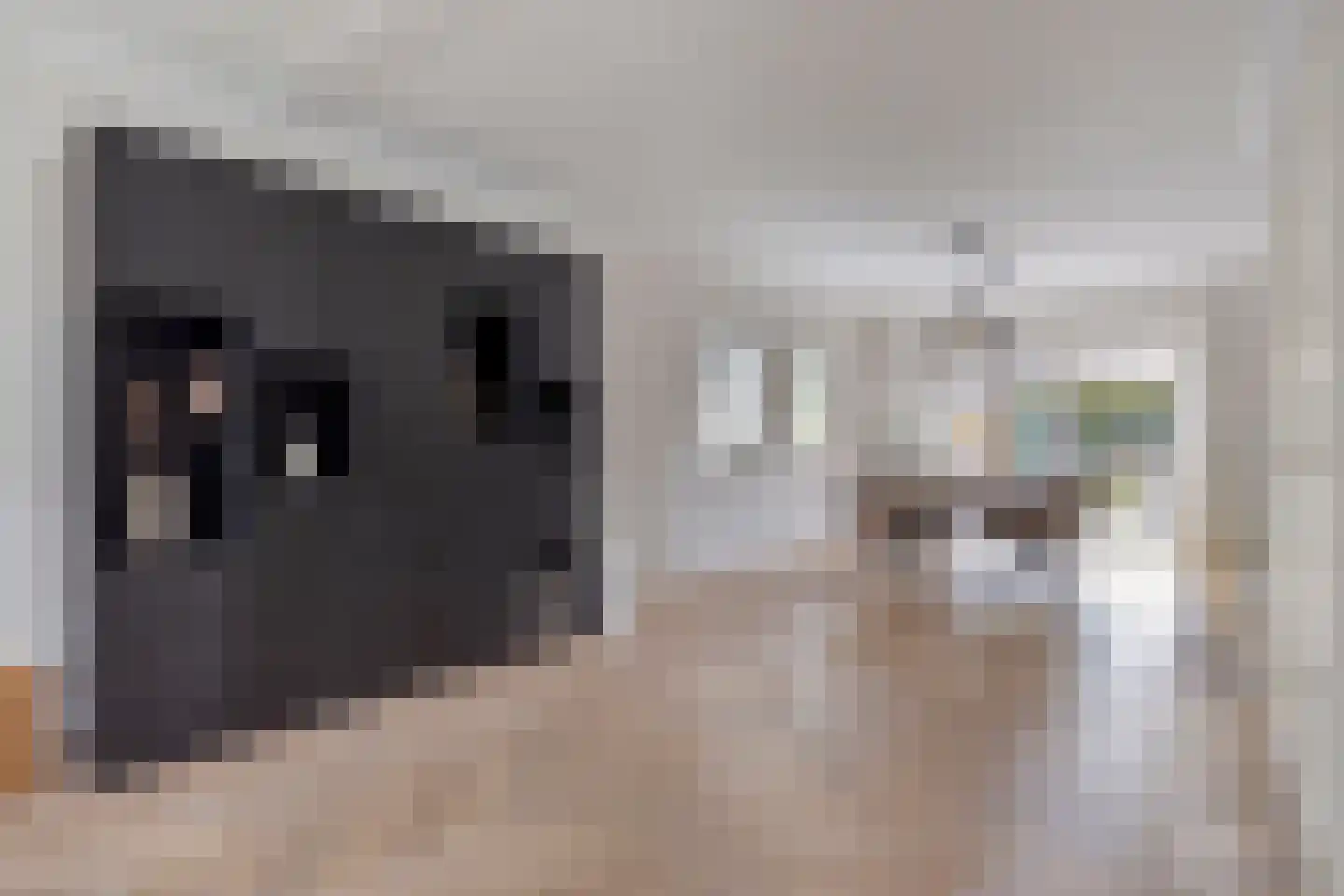 Wijkstraat 13 Bruchterveld thumbnail 8