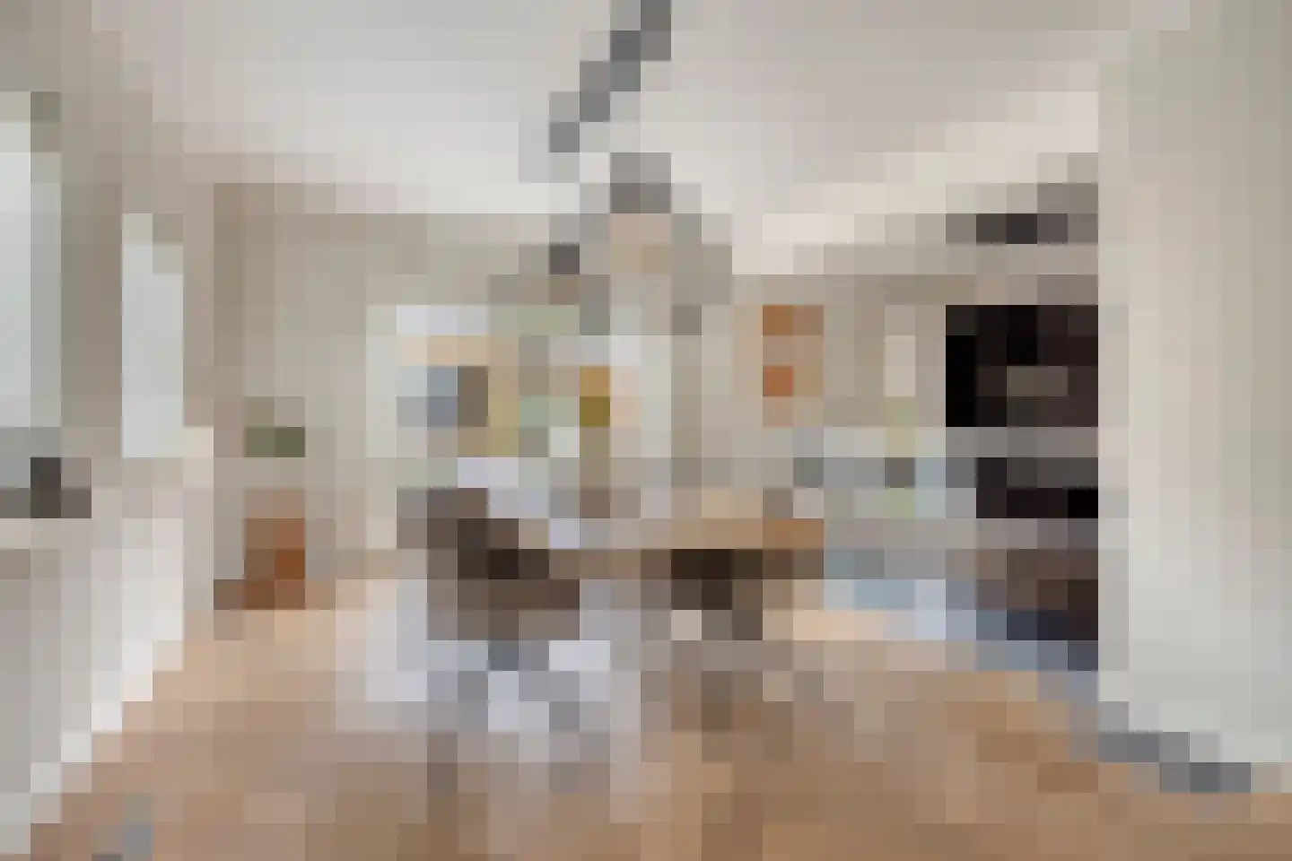 Wijkstraat 13 Bruchterveld thumbnail 9