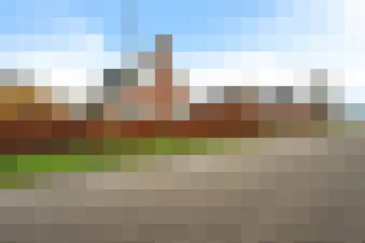Wijkstraat 130 Nieuw-Amsterdam thumbnail 53