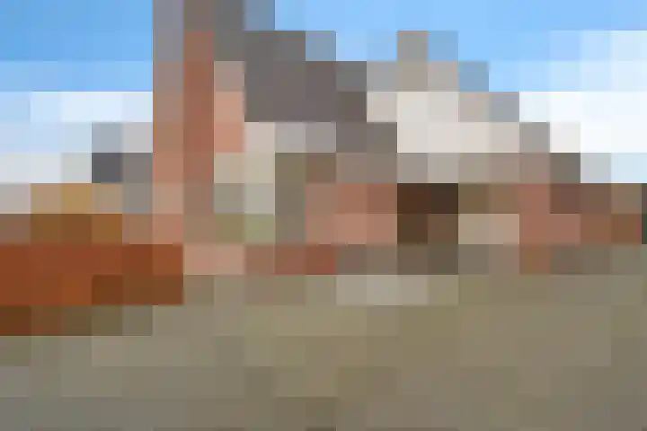 Wijkstraat 130 Nieuw-Amsterdam thumbnail 6