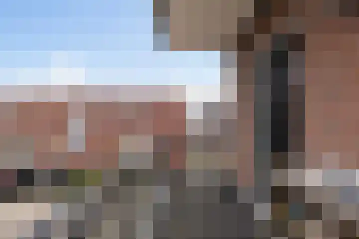 Wijkstraat 3 Nieuw-Amsterdam thumbnail 39
