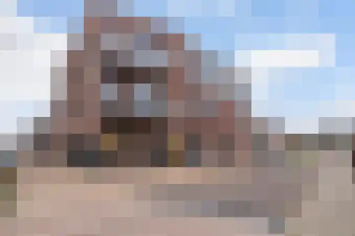 Wijkstraat 3 Nieuw-Amsterdam thumbnail 5