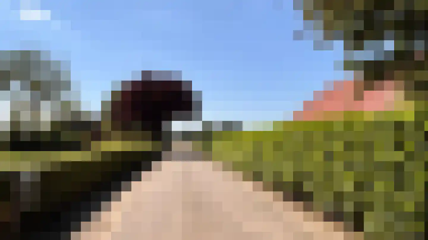 Wijlseweg 11 c Maren-Kessel thumbnail 4