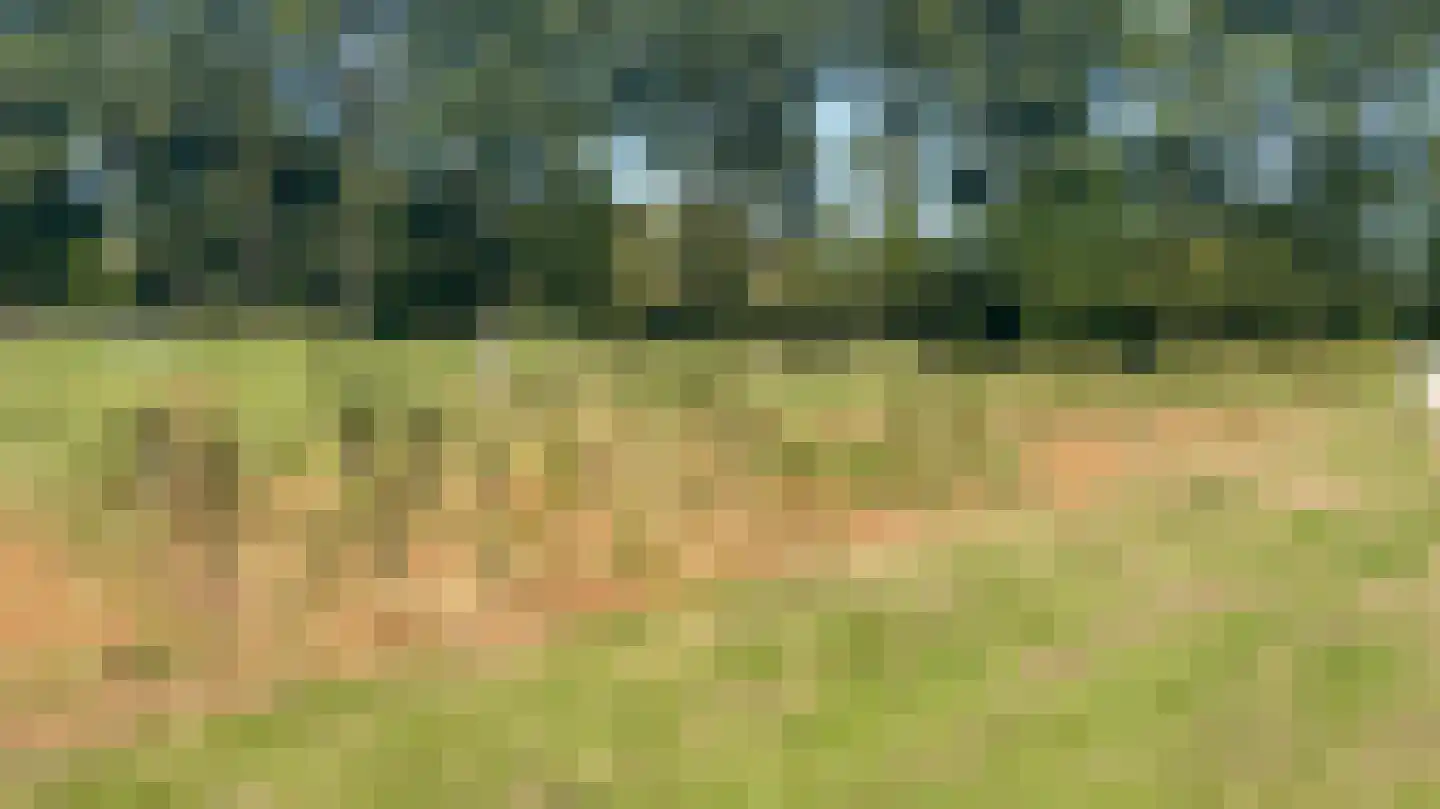 Wijlseweg 11 c Maren-Kessel thumbnail 5