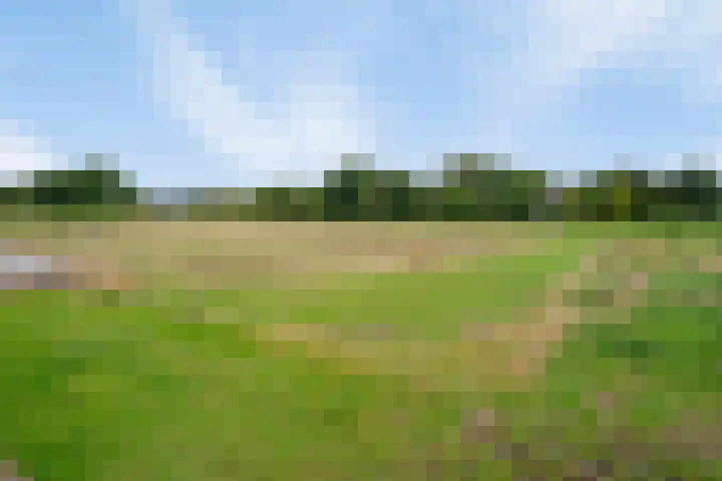 Wijlseweg 11 c Maren-Kessel thumbnail 8