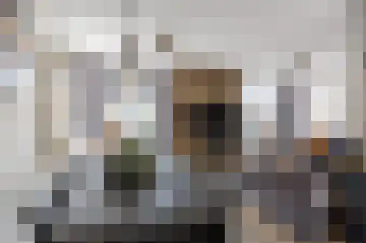 Wijmaheerd 25 Marum thumbnail 18