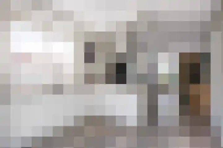 Wijmaheerd 25 Marum thumbnail 28