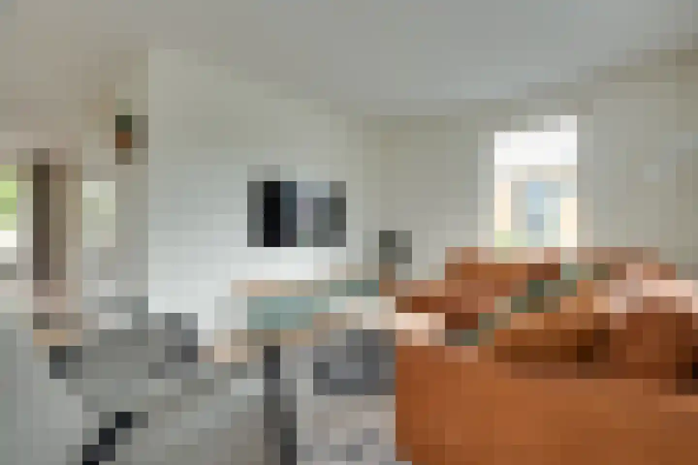 Wijmaheerd 26 Marum thumbnail 10
