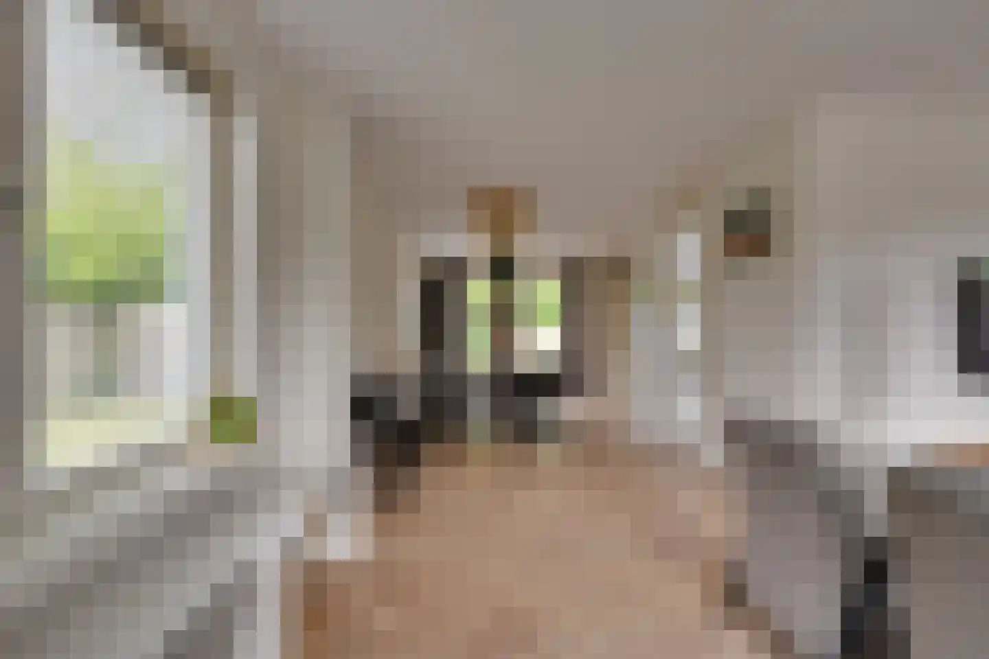 Wijmaheerd 26 Marum thumbnail 12