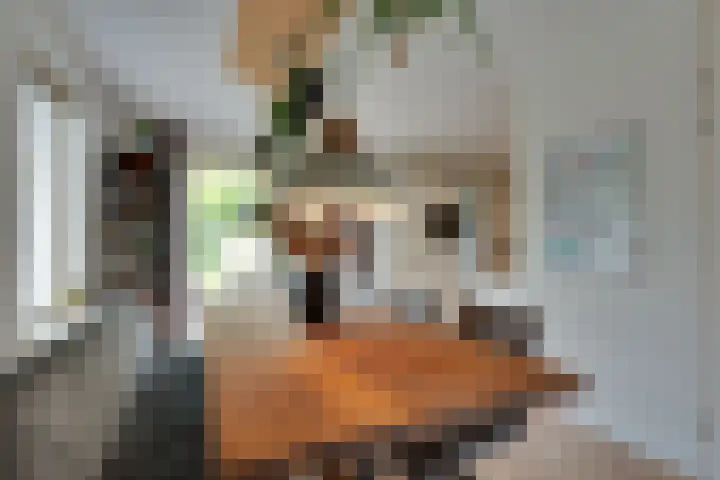 Wijmaheerd 26 Marum thumbnail 13
