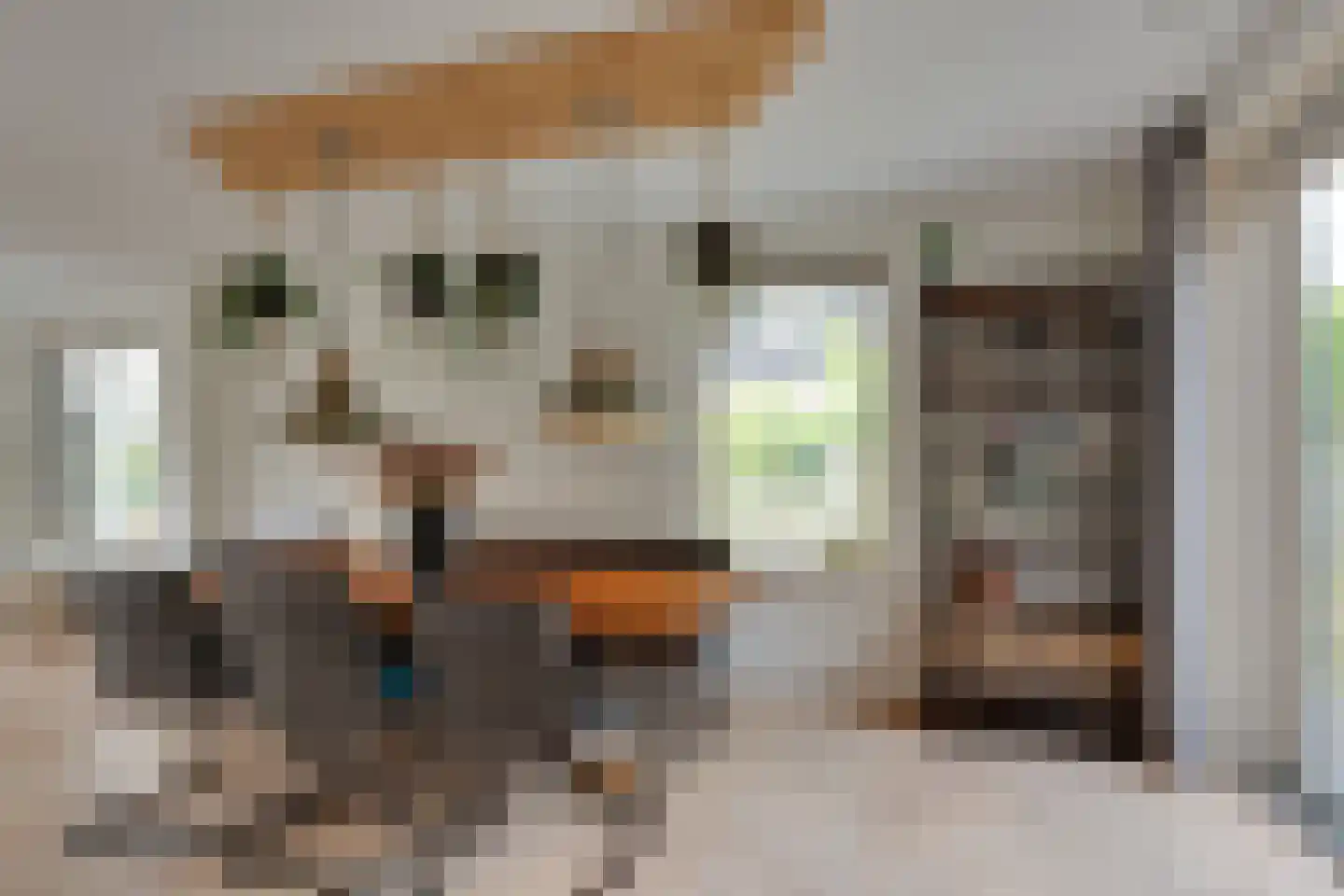 Wijmaheerd 26 Marum thumbnail 14