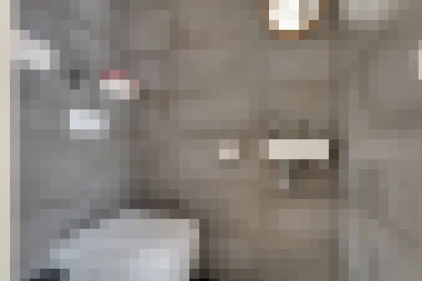Wijmaheerd 26 Marum thumbnail 21