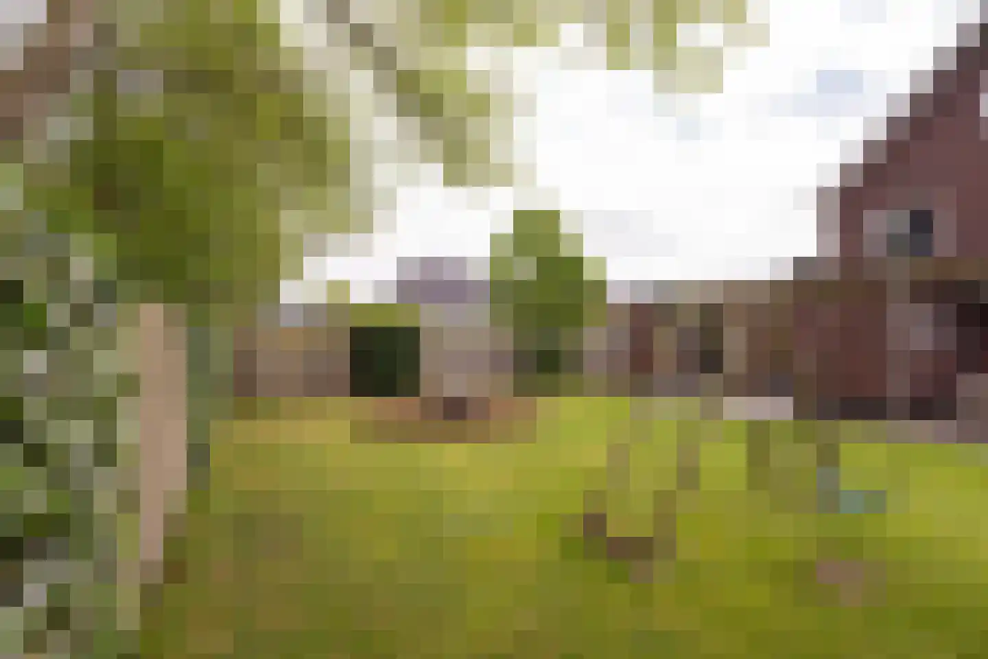 Wijmaheerd 26 Marum thumbnail 44