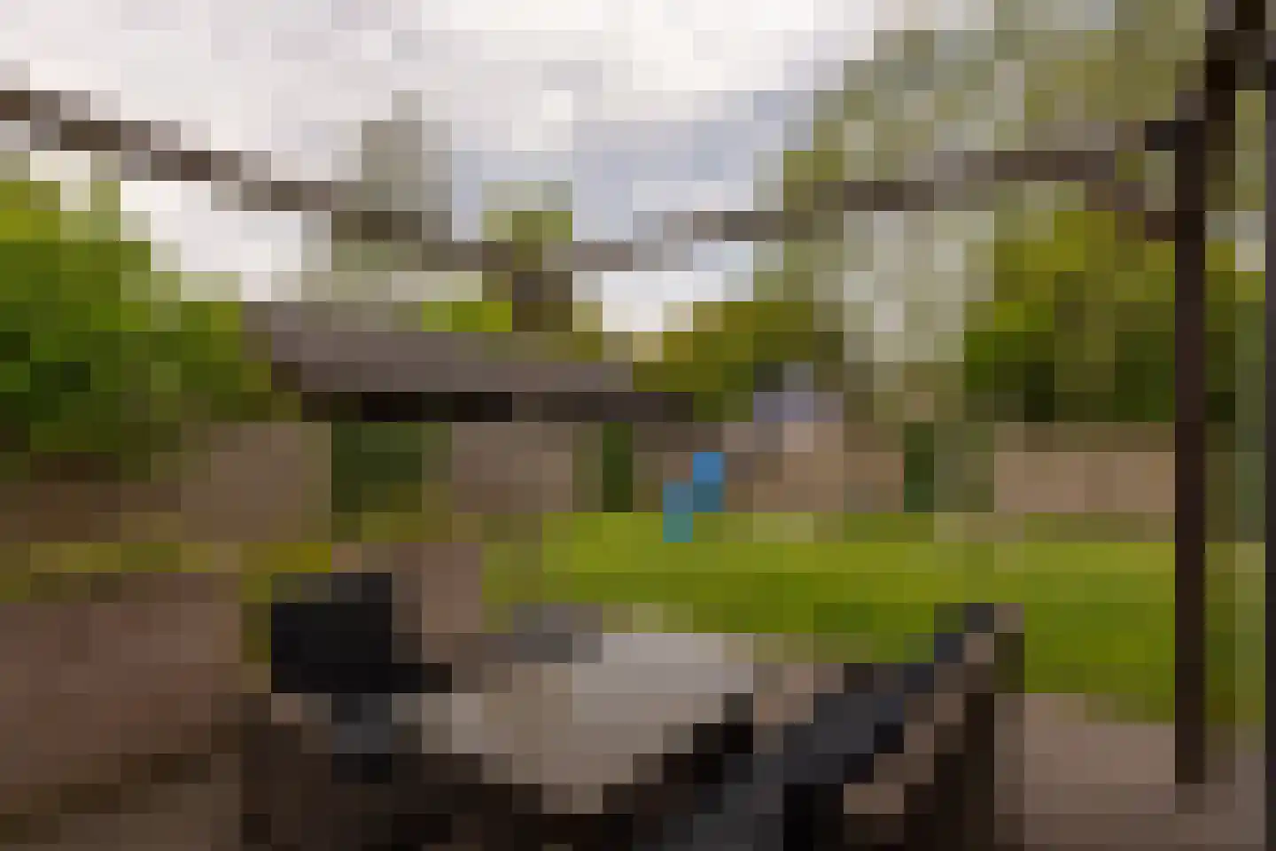 Wijmaheerd 26 Marum thumbnail 45