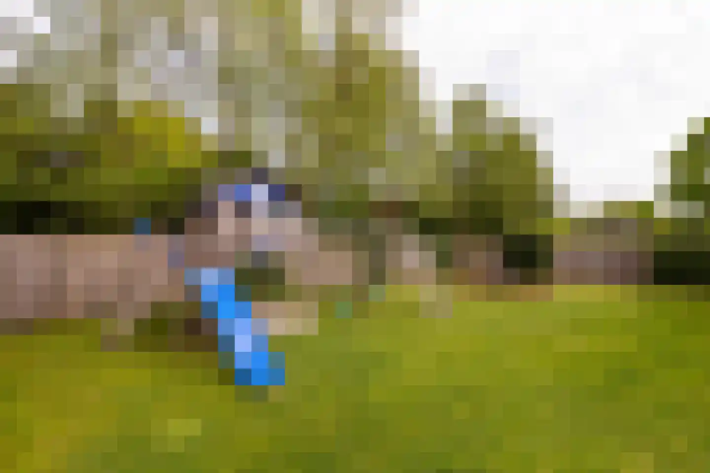 Wijmaheerd 26 Marum thumbnail 47