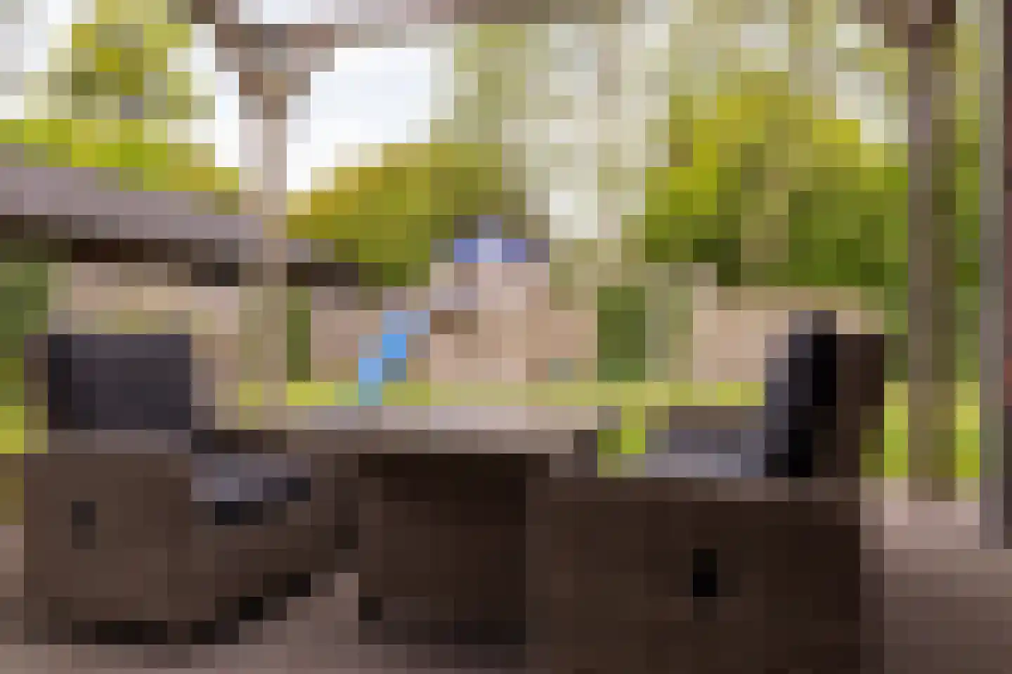 Wijmaheerd 26 Marum thumbnail 50
