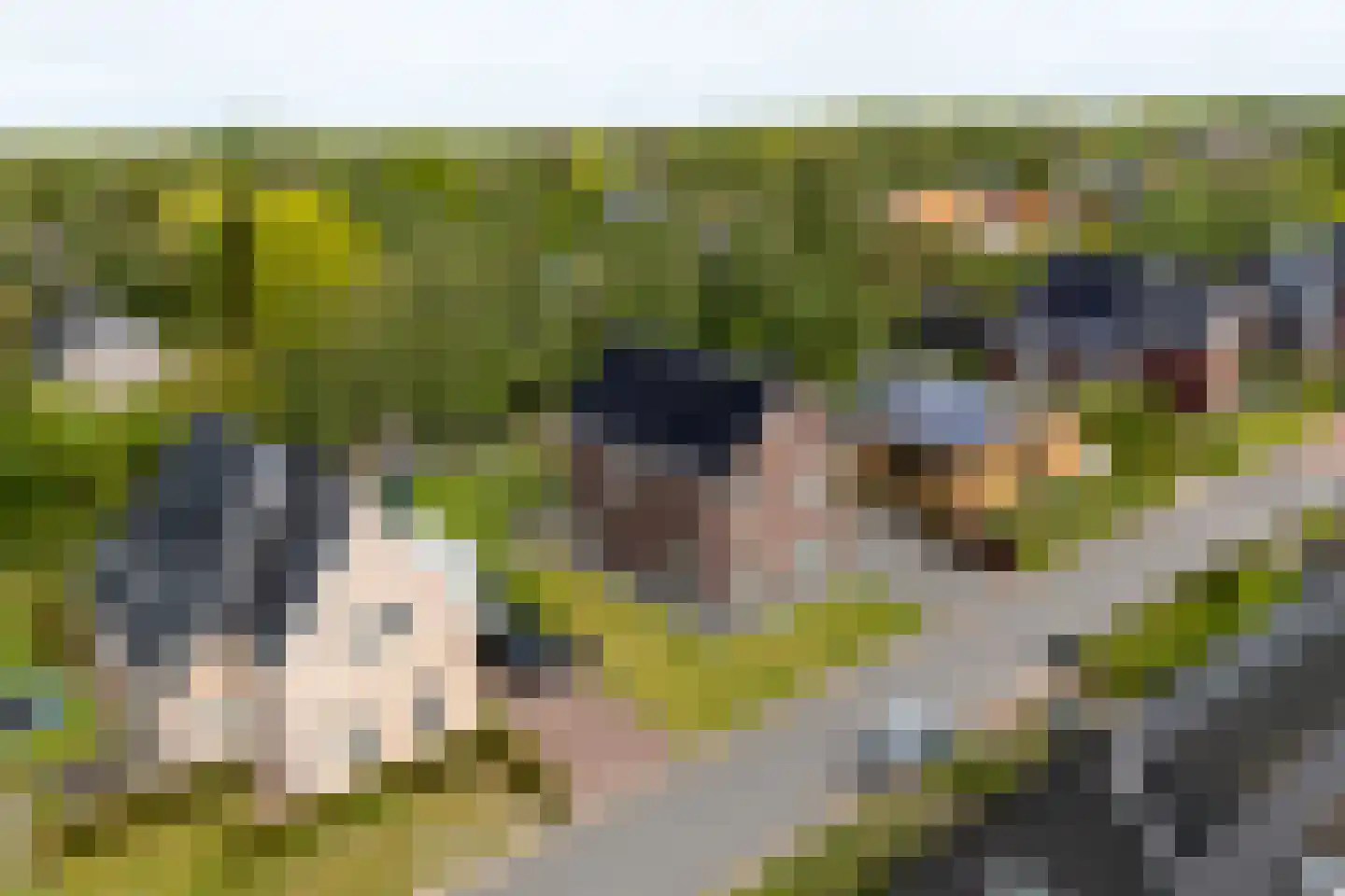Wijmaheerd 26 Marum thumbnail 55