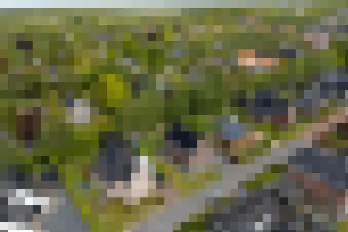 Wijmaheerd 26 Marum thumbnail 56