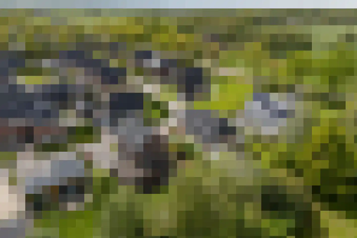Wijmaheerd 26 Marum thumbnail 58