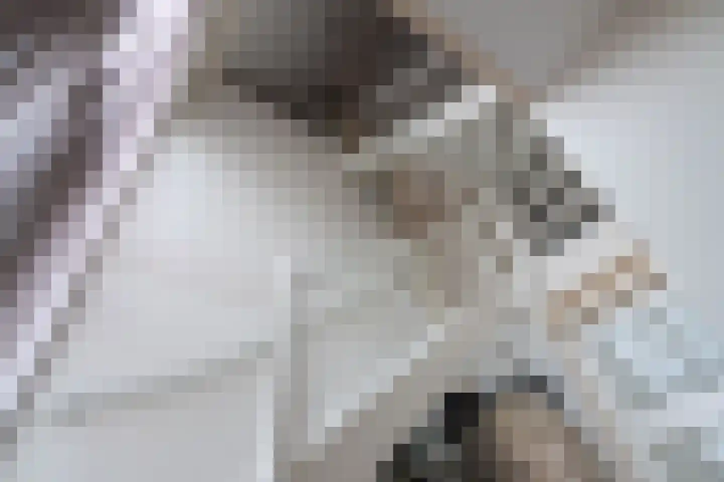 Wijmaheerd 26 Marum thumbnail 7