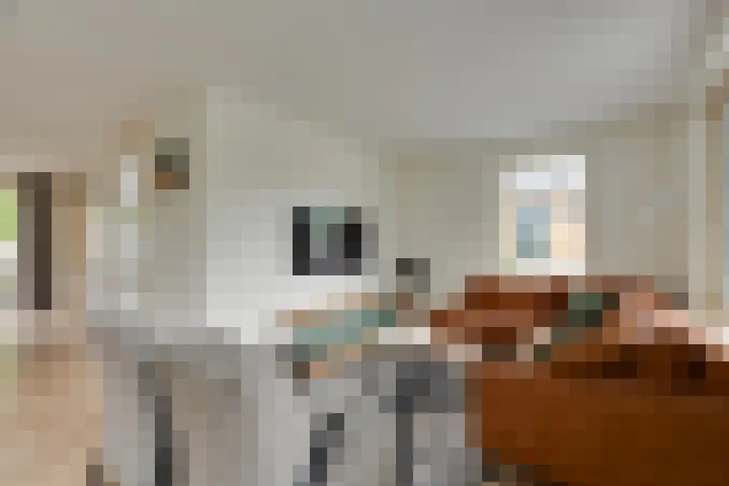 Wijmaheerd 26 Marum thumbnail 8