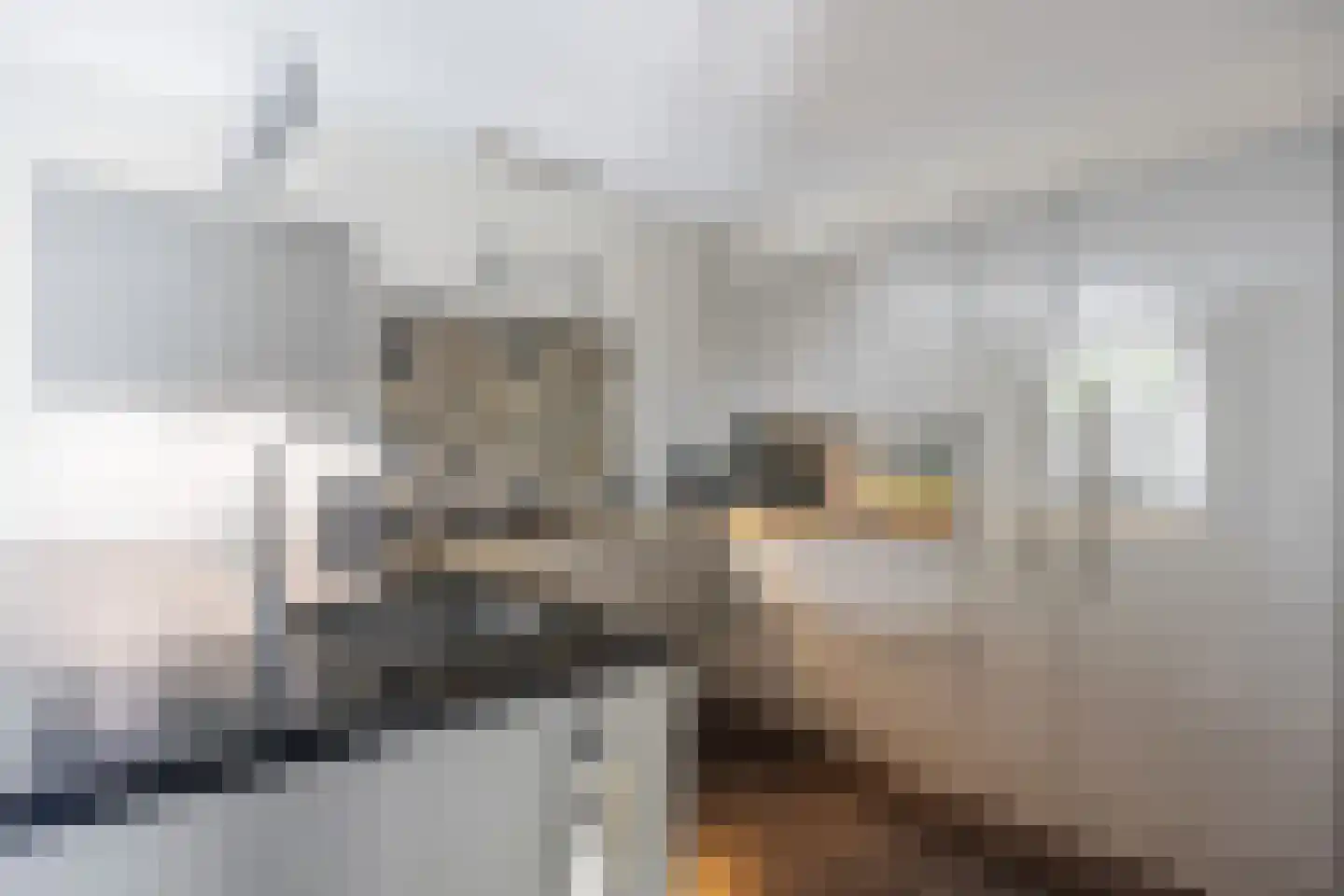 Wijmaheerd 9 Marum thumbnail 16