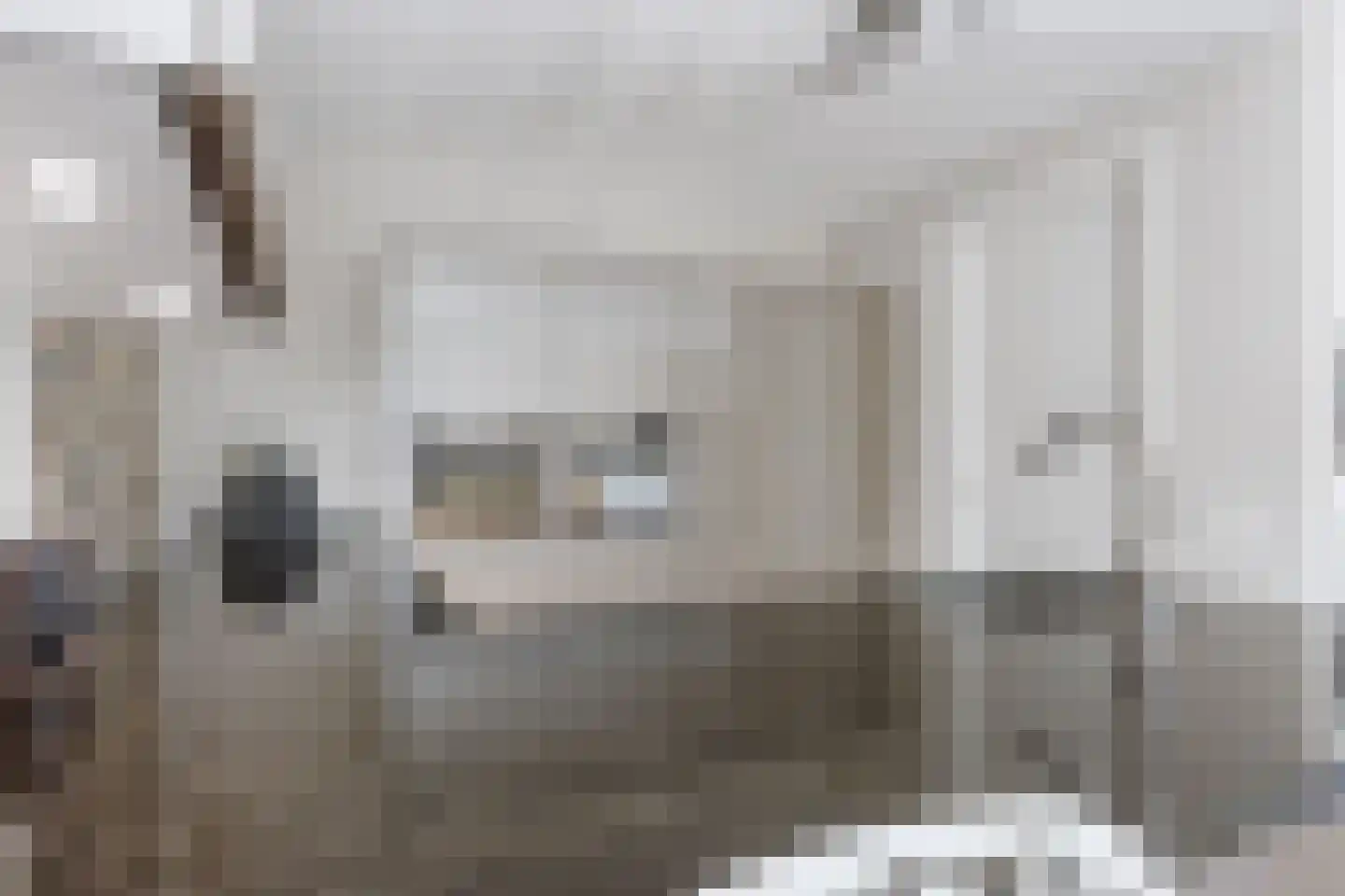 Wijmaheerd 9 Marum thumbnail 19
