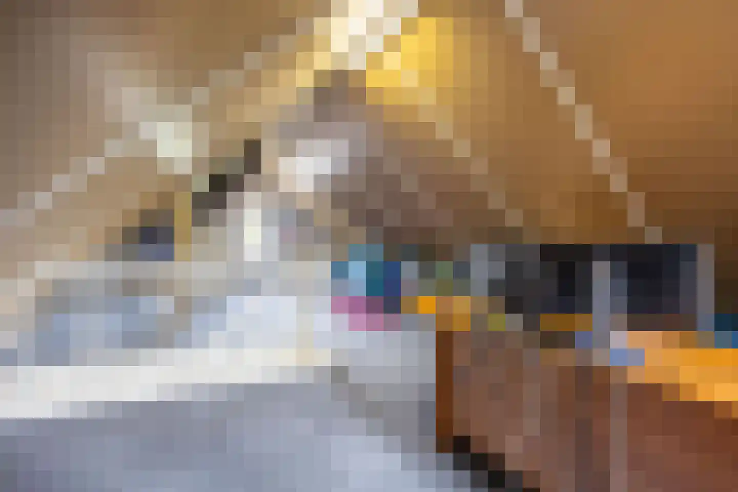 Wijmaheerd 9 Marum thumbnail 35