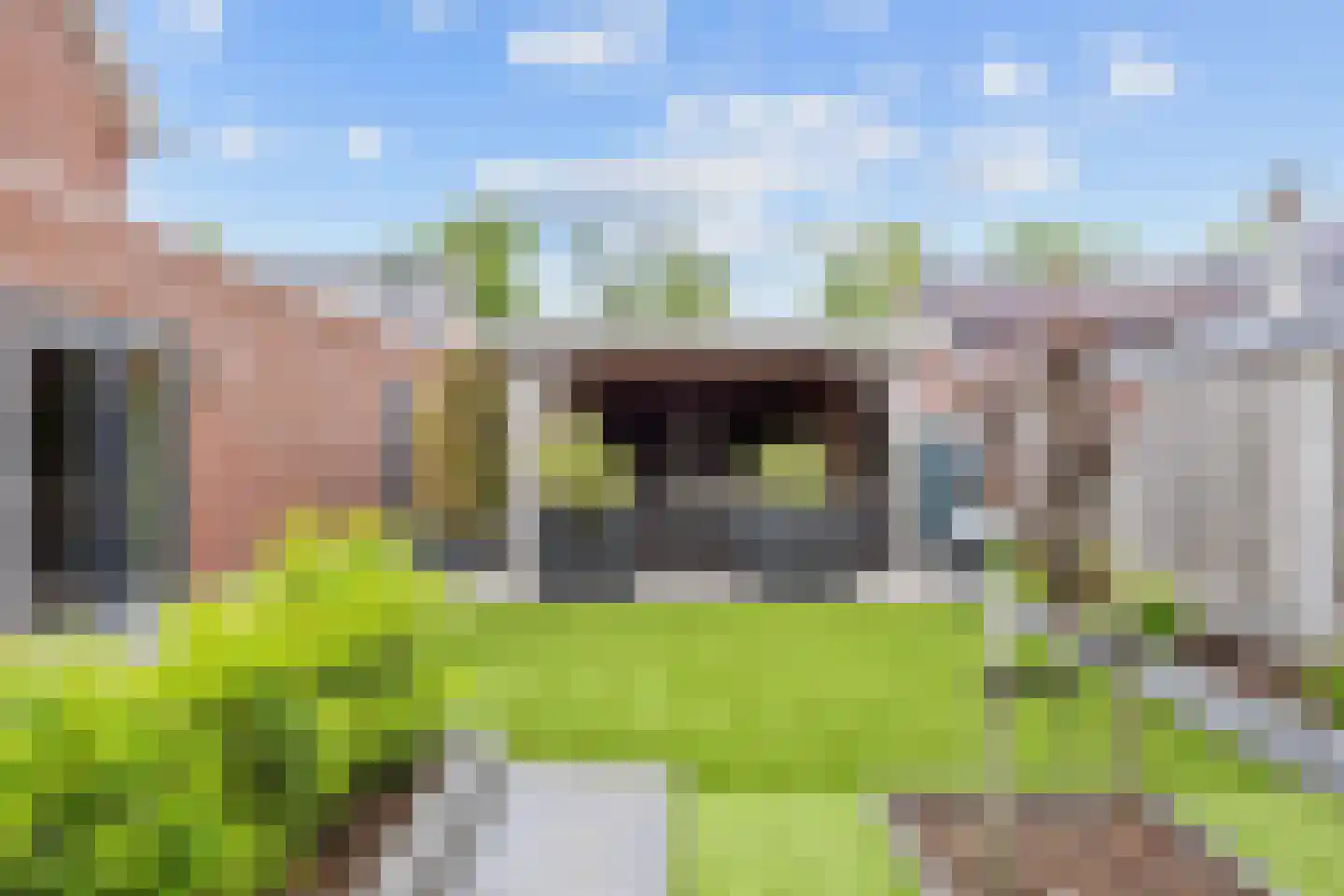 Wijmaheerd 9 Marum thumbnail 36