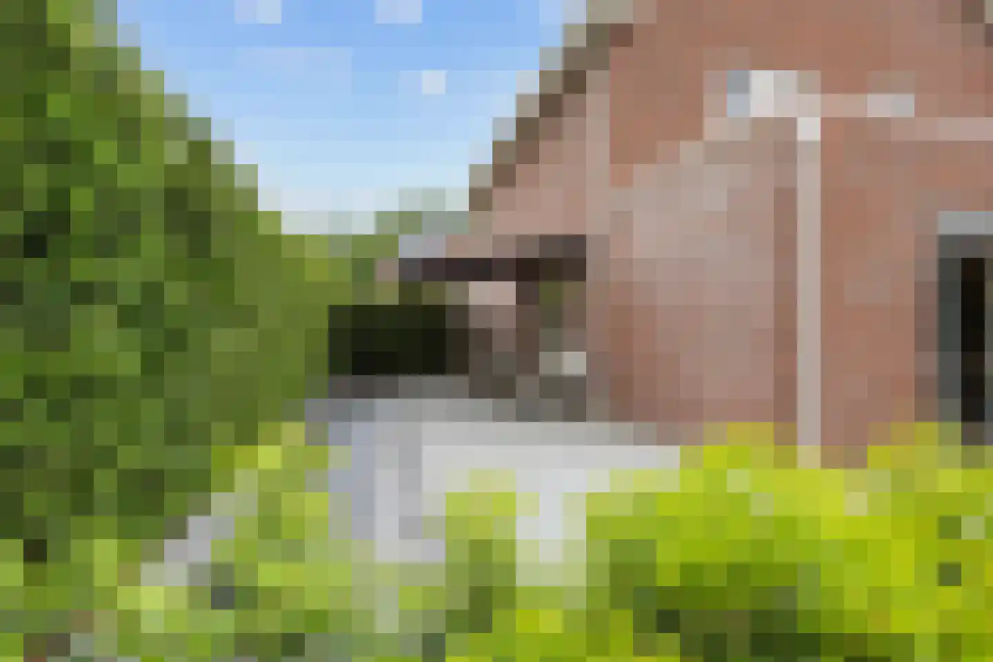 Wijmaheerd 9 Marum thumbnail 42