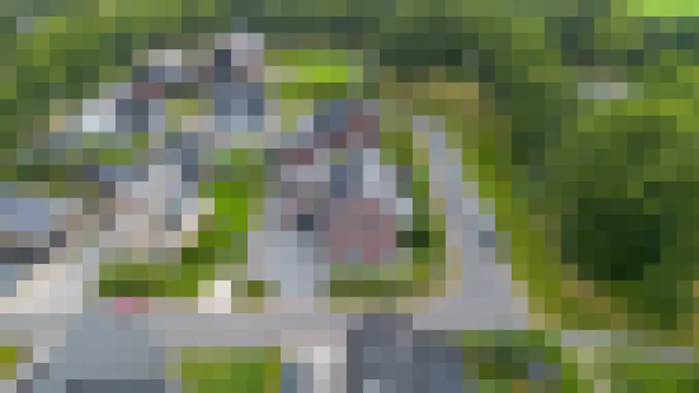 Wijmaheerd 9 Marum thumbnail 47