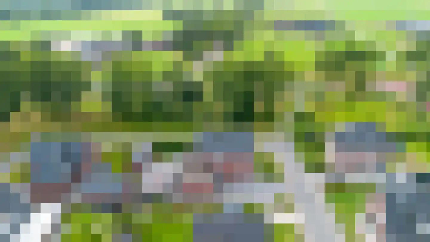 Wijmaheerd 9 Marum thumbnail 5