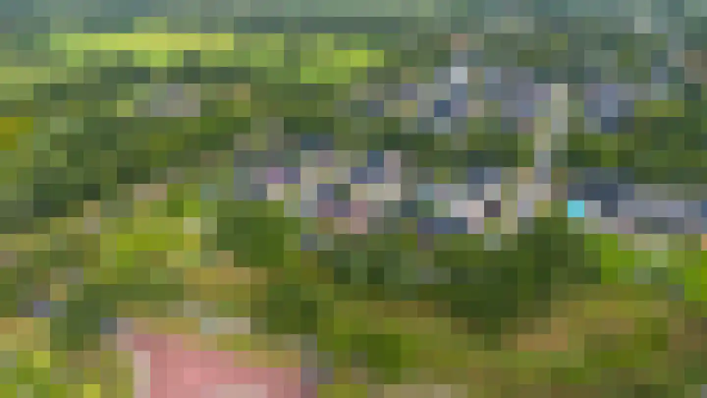 Wijmaheerd 9 Marum thumbnail 6