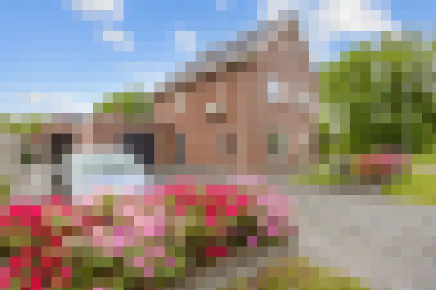 Wijmaheerd 9 Marum thumbnail 7