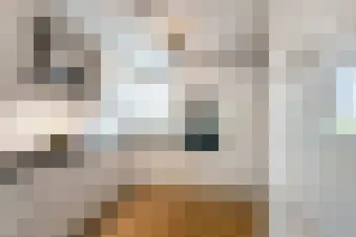 Wijmarkthof 16 Amsterdam thumbnail 14