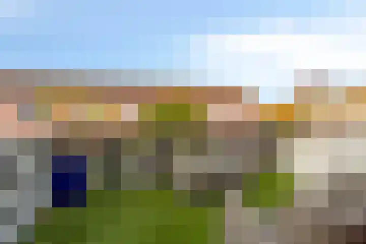 Wijmarkthof 16 Amsterdam thumbnail 19