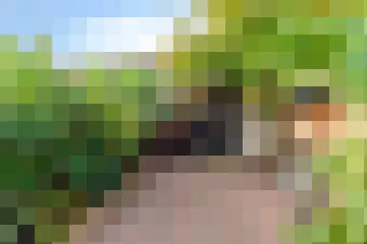 Wijmarkthof 16 Amsterdam thumbnail 30