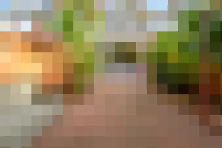 Wijmarkthof 16 Amsterdam thumbnail 32