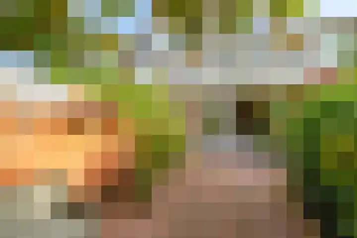 Wijmarkthof 16 Amsterdam thumbnail 33