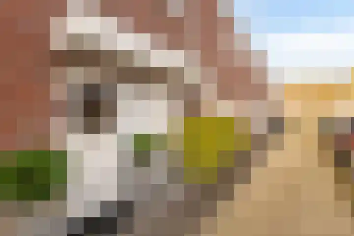 Wijmarkthof 16 Amsterdam thumbnail 36