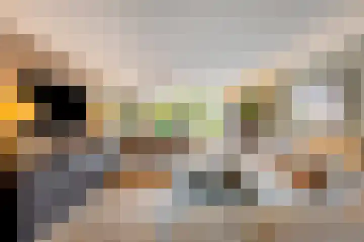 Wijmarkthof 16 Amsterdam thumbnail 4