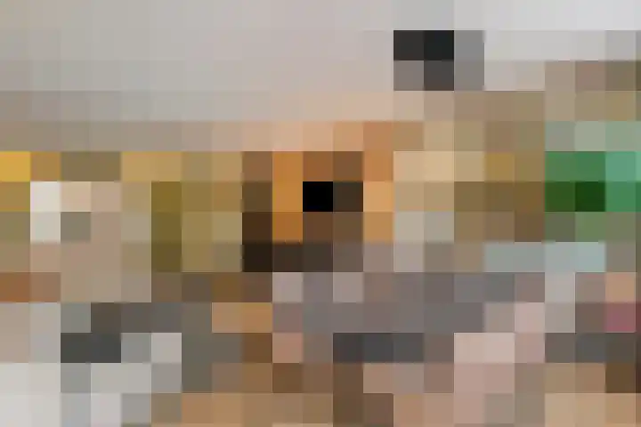 Wijmarkthof 16 Amsterdam thumbnail 6