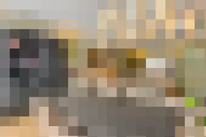 Wijmarkthof 16 Amsterdam thumbnail 7
