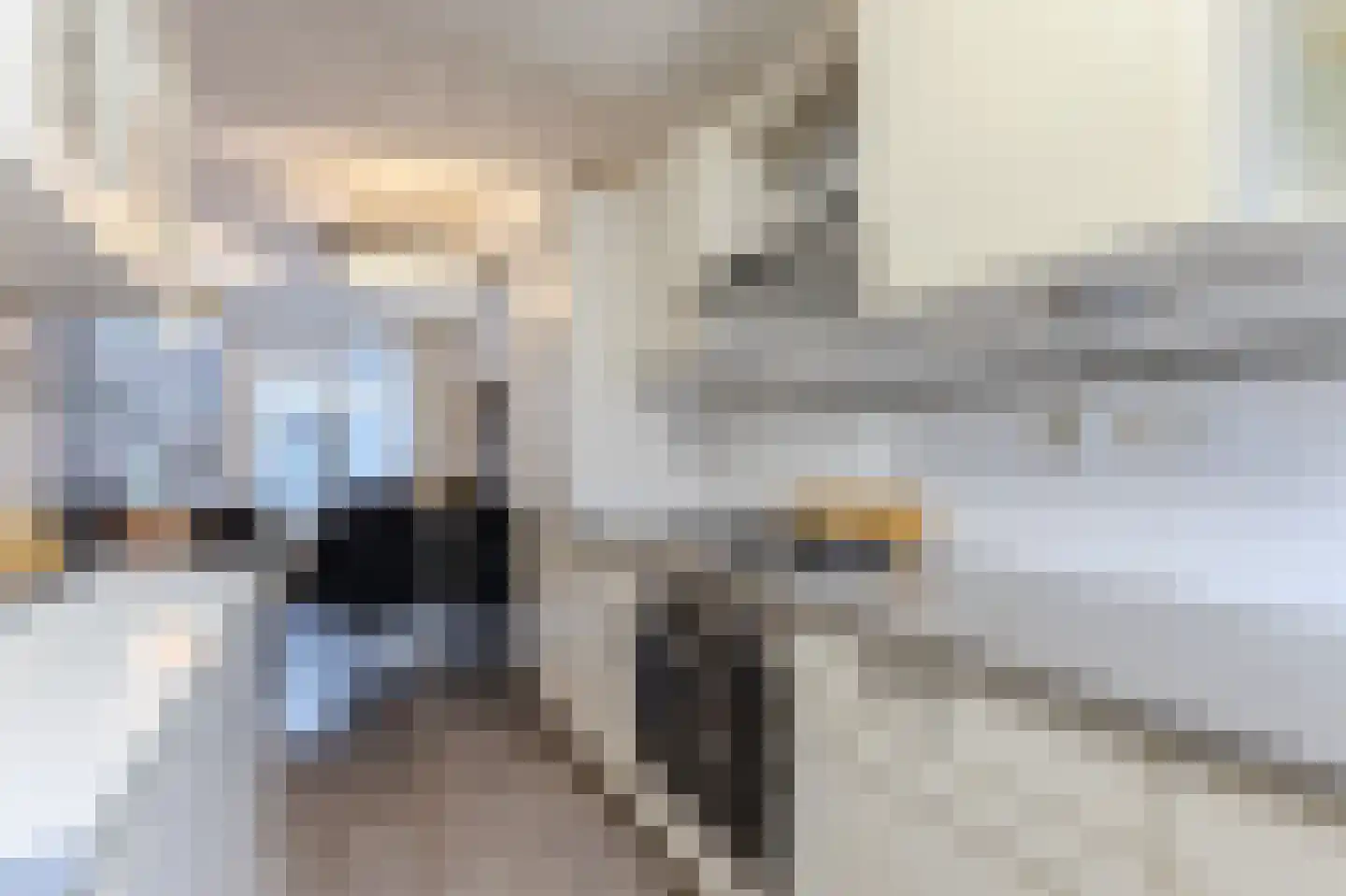 Wijmarkthof 22 Amsterdam thumbnail 12