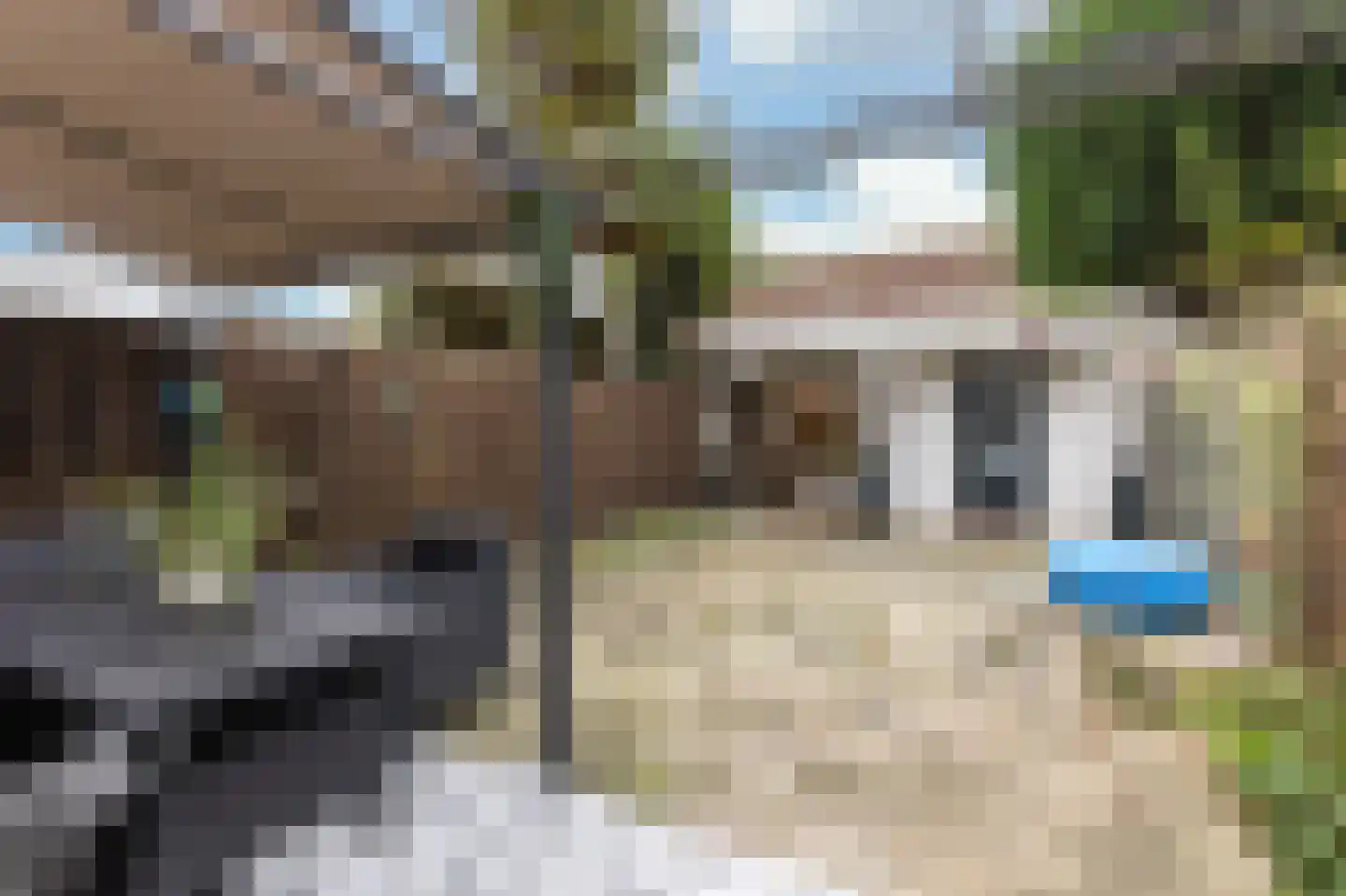 Wijmarkthof 22 Amsterdam thumbnail 15