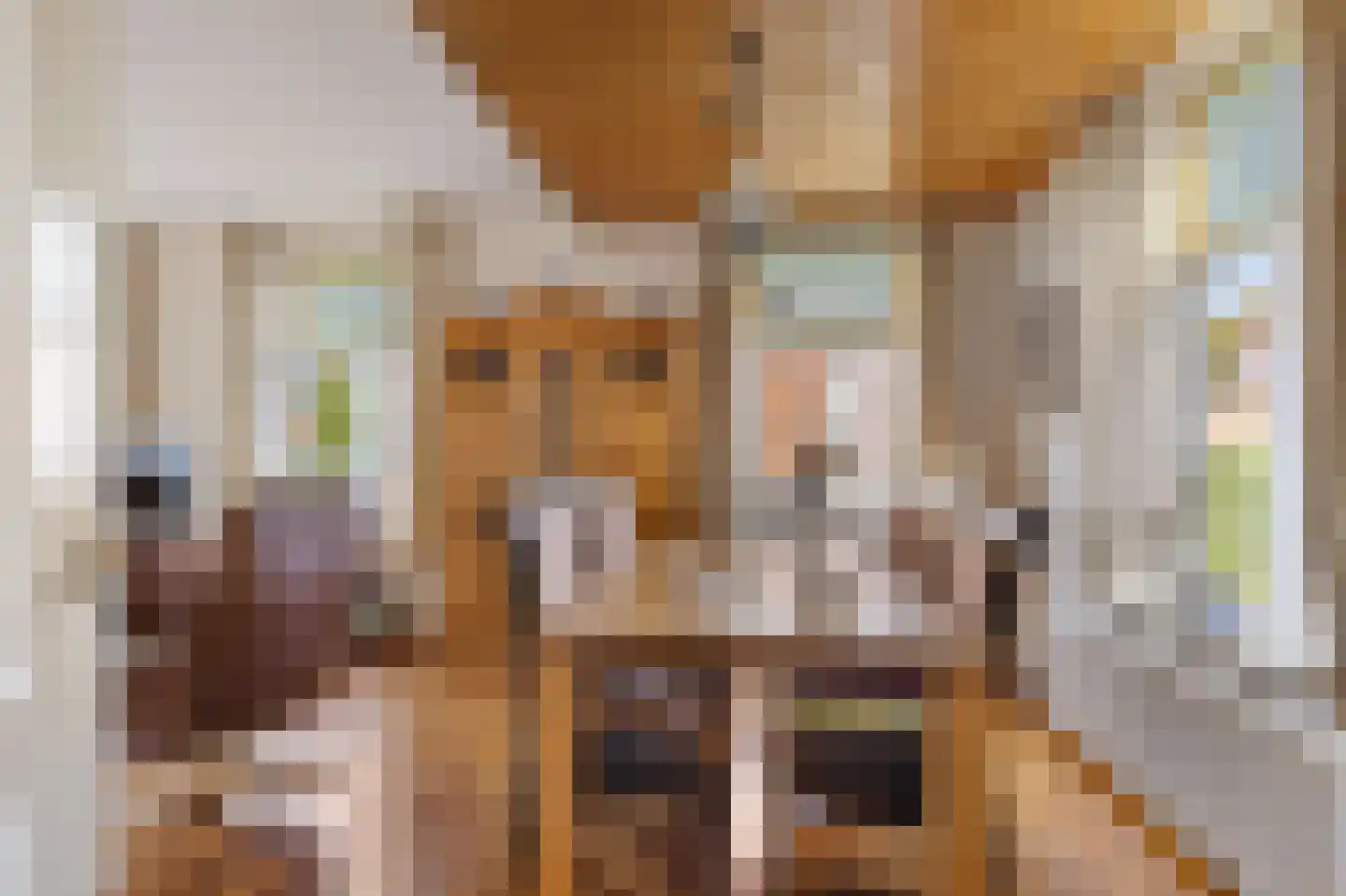 Wijmersweg 39 Loppersum thumbnail 21