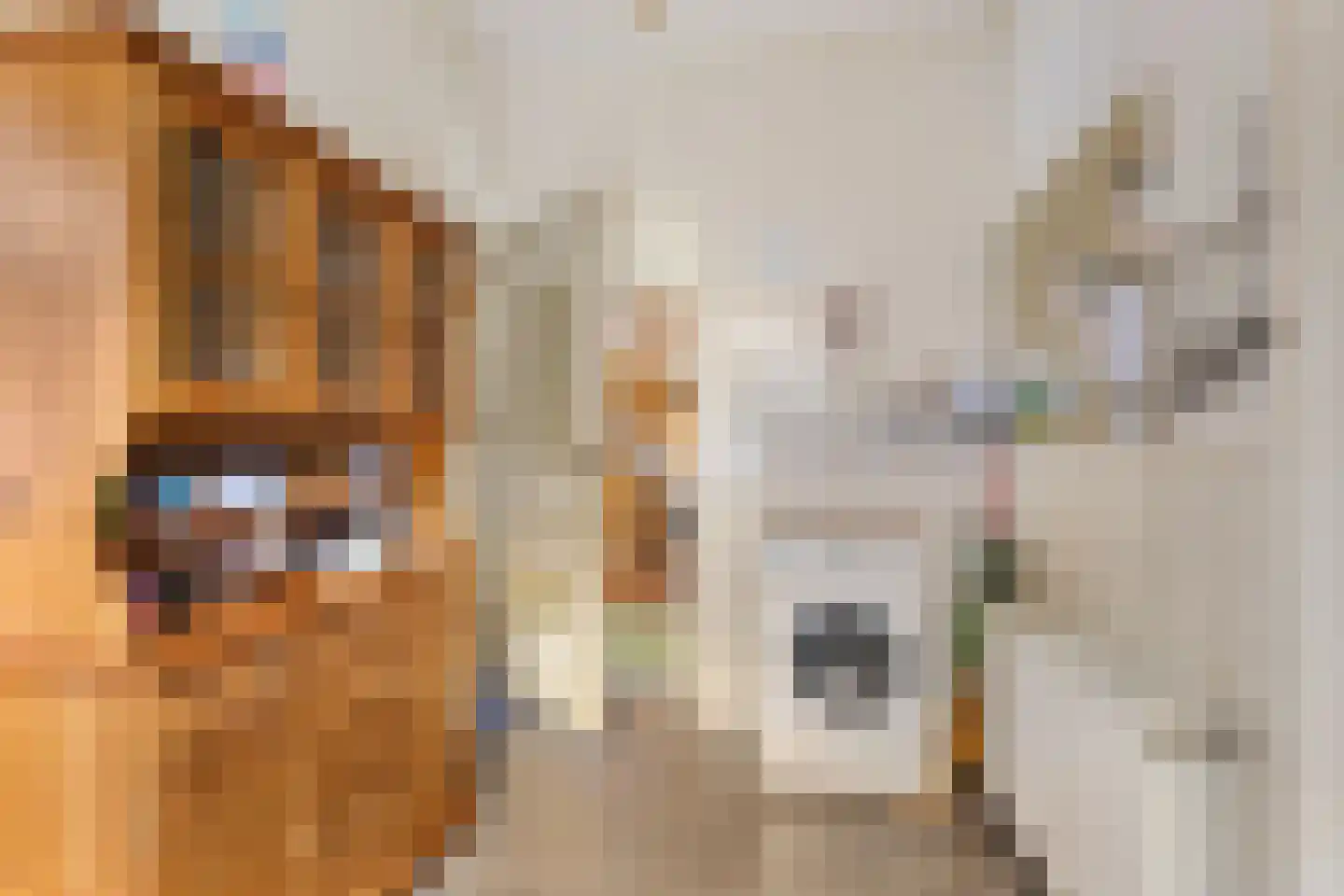 Wijmersweg 39 Loppersum thumbnail 25