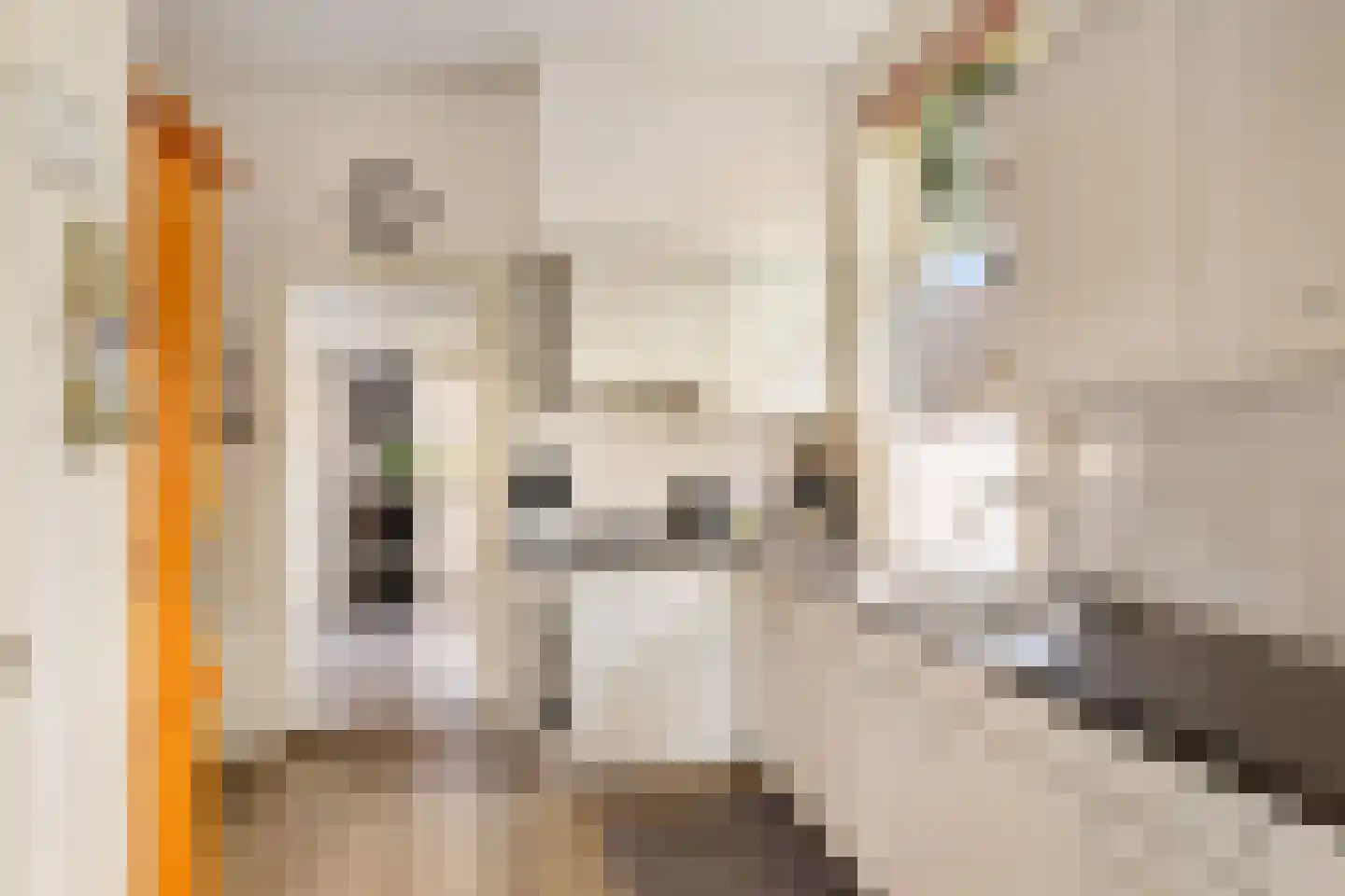 Wijmersweg 39 Loppersum thumbnail 26